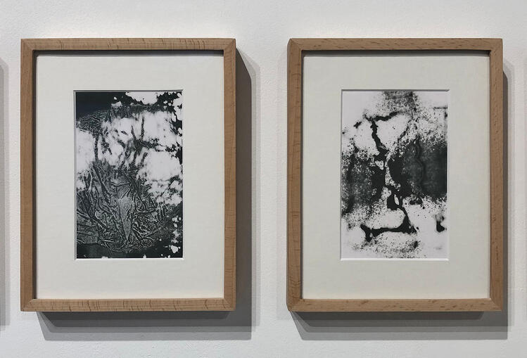 Kleenex series, GEBRAUCHSMUSIK, Galeria Diferença, 2025 (c) Margarida Garcia